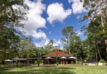 Feast for the senses: new art and dining experience