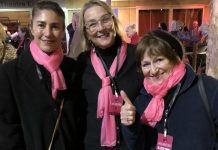 Volunteers needed for Noosa Alive Festival