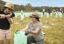Plant a tree, grab a free coffee and learn about nature