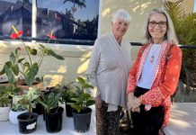 Street stall builds women’s housing