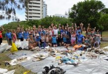 Sunshine Coast’s beach clean on ‘humpback highway’