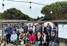 20 years of saving waves