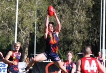 Tigers go down fighting