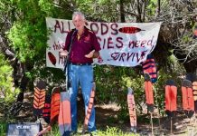 Expert speaks on the environment