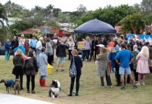 Council changes delegations