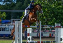 Catch all the fun of the show