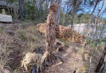 Floating Land unveiled