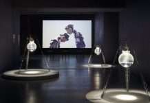 Enjoy artist-led talks at Experimental Life Forms