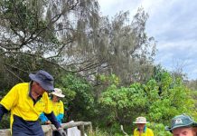 Annual National Tree Day returns