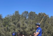 Polo By The Sea returns