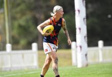 Dani bags 11 in big win