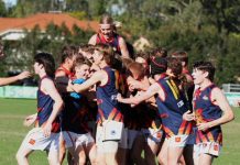 Tigers down but gallant