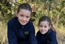 From little things big things grow