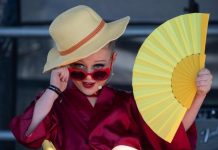 Noosa Alive stars shine