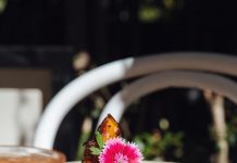 Discover a new era at Cafe Doonan