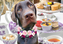 A High Tea that could save a life