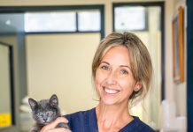 Saturday is Caturday