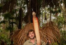 Cold blooded mates are on the move again