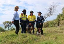 Superstar conservation dogs are back to save wildlife
