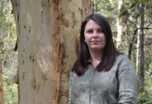 Forest clearing fears grow