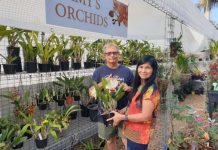 When orchid fever strikes