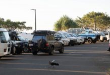 Overnight ‘no-parking’ trial to target illegal camping at Noosa Woods