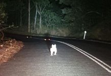 MP funds help to save wildlife