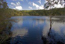 Update on Noosa advocacy