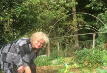 Food forest trend taking root in Cooroy