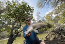 Wind drives anglers in land