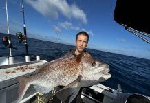 Pelagic’s will be heading our way