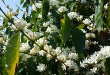 Head down to the farm