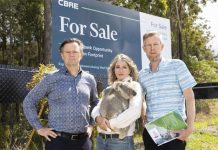 Dire threat to koalas from urban sprawl