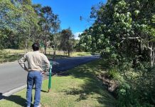 How unique ‘fauna fence’ will protect wildlife