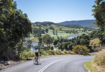 Have your say on the future of Noosa