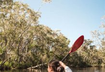 Shape the shire’s future