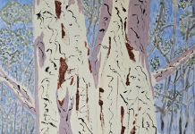 More Coastal and Desert Dreams