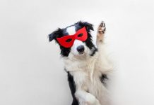 Face off against PTSD