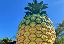 Big things in small coins