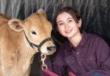 It’s show time in Noosa