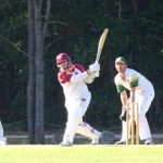 cricket_358278_01.JPG