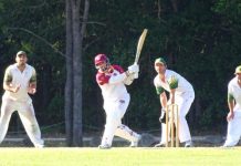 Cricket season – it’s all happening across the grades
