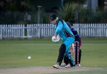 It’s cricket season