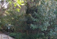 Have you seen the playground fence?