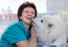 Pooches perform at show