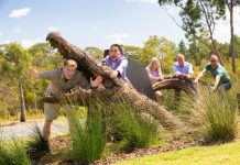 Fly from Sunshine Coast into a NT summer!