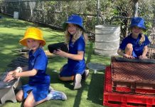 Prep playtime redefined at Sunshine Beach