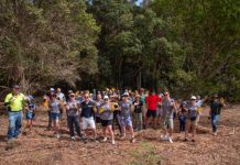 500 trees planted on upgraded Noosa Biosphere Trail