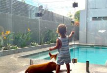 Shut the gate on swimming pool tragedies