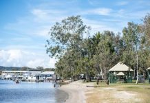 Locals invited to help shape future of Noosaville foreshore